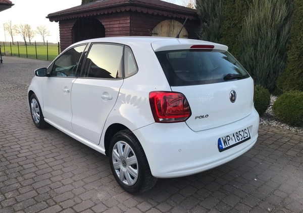 Volkswagen Polo cena 22900 przebieg: 152150, rok produkcji 2010 z Pułtusk małe 92